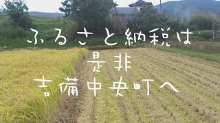 稲刈り動画　ふるさと納税は　美味しいお米　岡山県　吉備中央町で！