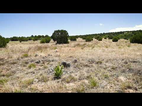 SOLD By Compass Land USA - 0.2 Acres – In Colorado City, Pueblo County CO