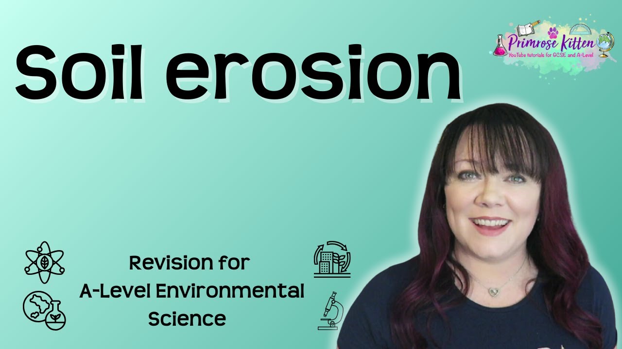 Soil erosion | Revision for Environmental Science A-Level
