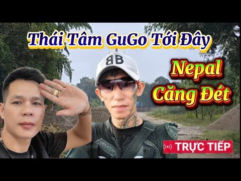 🔴 Căng Đét, Trong Lúc Này GuGo Sao Bỏ Thái Tâm,#suminhtue #kinhsuminhtue #thichminhtue