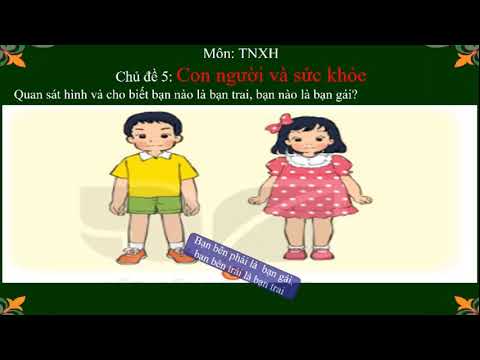 TNXH Lớp 1 - Các bộ phận trên cơ thể