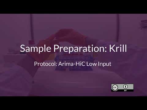 BGE SciLifeLab HiC Course 3 - Introductory Low Input Samples