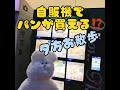 【ぬいぐるみ好き】パン屋さん閉まっててショック‼︎よぴチャンが見つけたパンの自販機は？