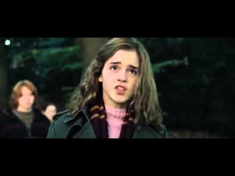 Hermione: No soy una lechuza