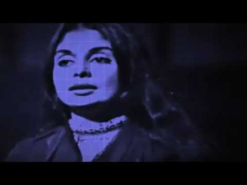 BULBULI NIRAB NARGIS BONE - SHAHNAZ RAHMATULLAH