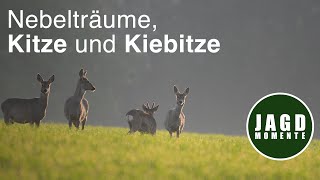 Revierleben | Ein wahrer Traum im Revier und eine Seltenheit