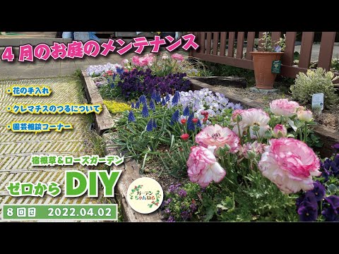 つる性のツタをいつどのように剪定するのですか？家や庭を邪魔しない美しい植物を育てるためのヒント  庭園