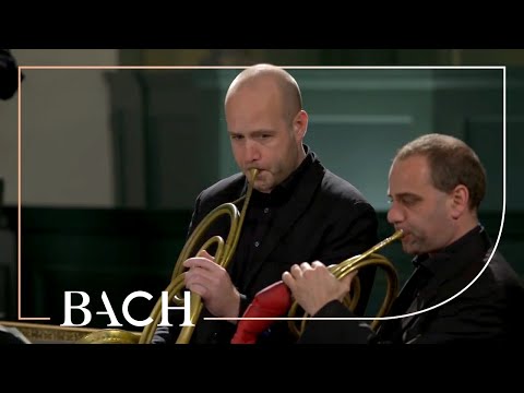 Netherlands Bach Society