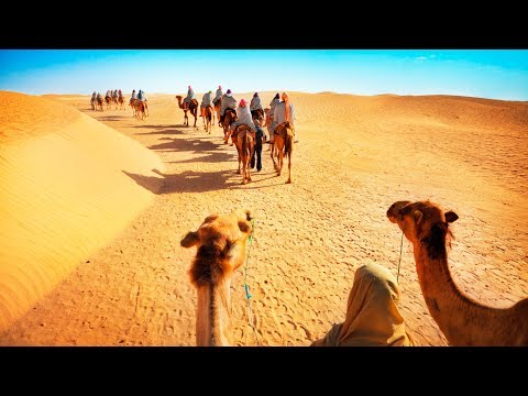 Camel Safari with Dinner and Emirati Activities in Dubai, UAE