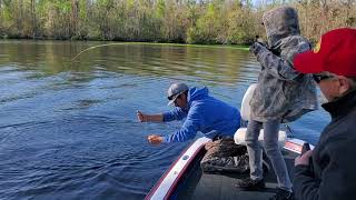 Катушка bass pro Johnny Morris 20