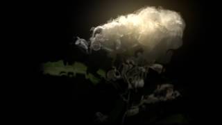 Cory Chisel &amp; Adriel Denae - Songbird