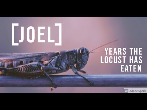 Years the Locust Has Eaten