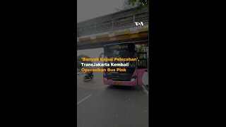 Download lagu ‘Banyak Kasus Pelecehan’, TransJakarta Kembali Operasikan Bus Pink mp3
