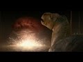 Dinosaur The Meteorite