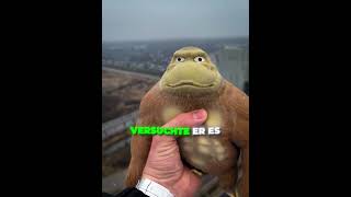 Dieser Affe ist unzerstörbar 🐵💥