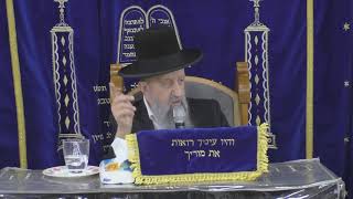 הרב בן ציון מוצפי • סודאי שידור חי (הרב בן ציון מוצפי) - התמונה מוצגת ישירות מתוך אתר האינטרנט יוטיוב. זכויות היוצרים בתמונה שייכות ליוצרה. קישור קרדיט למקור התוכן נמצא בתוך דף הסרטון