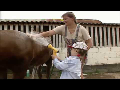 Teletubbies Series 3, Episode 14: Emily Washing the Pony