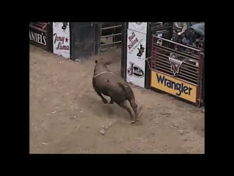 Prince Charming bucks Chris Sorace - 99 PBR Anaheim