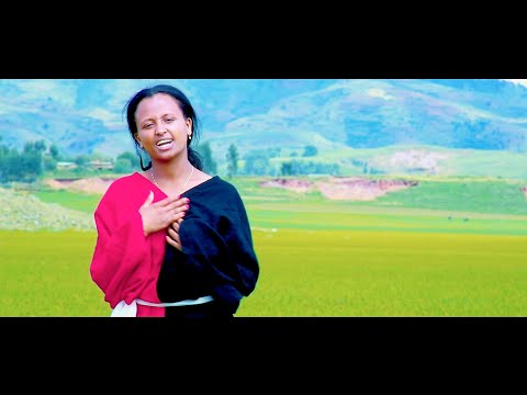 Shukkaaree Tolosaa - Yaa Sabboonaa - New Ethiopian Oromo Music 2023 [Official Video]