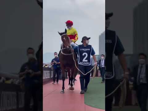 There’s a new Champ in town! ⭐️ California Spangle under Zac Purton wins the HK Mile! #HKIR