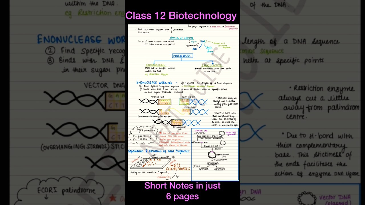 Biotechnology principles and processes Class12 Biology notes oneshot/ NCERT NEET #neet #zoology