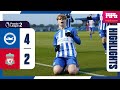 PL2 Highlights: Brighton 4 Liverpool 2
