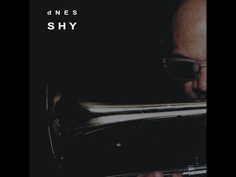 dNES - Shy (Maxamillion Remix)