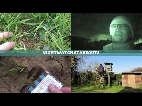 The Great Essex Marshland Mouse Mystery