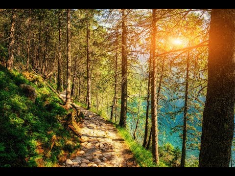 GOOD MORNING MUSIC 528Hz 💖 Positive Energy  ➤Have The Best Day - Morning Meditation music