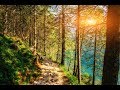 GOOD MORNING MUSIC 528Hz Positive Energy Have The Best Day Morning Meditation Music