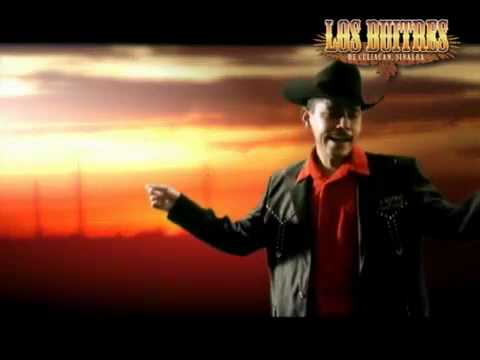 No voy a llorar - Los Buitres De Culiacan Sinaloa