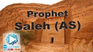 Video: The Story of Prophet Shelakh - Shady Al-Suleiman
