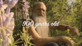 The Search for Delicious