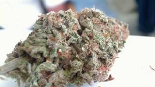 Durrty Goodz - Marijuana