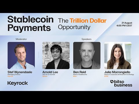 Stablecoin Payments