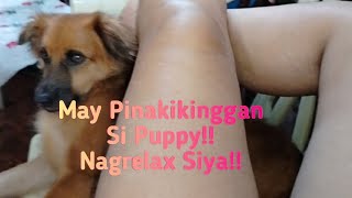 Download lagu EPISODE4322 May pinakikinggan Si puppy habang nakahiga saaking sa ilalim (nagrelax lang Siya) mp3 Download lagu EPISODE4322 May pinakikinggan Si puppy habang nakahiga saaking sa ilalim (nagrelax lang Siya) mp3