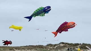 Farbenfroher Himmel über Fanø: Internationales Drachenfestival beginnt