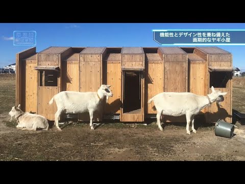 みらいウォッチ2019 #6 建築学科 建築コース 竹内宏俊 准教授 【#日本工業大学】