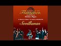 Sevillanas: Rocieras Lentas (Tambor y Flauta)
