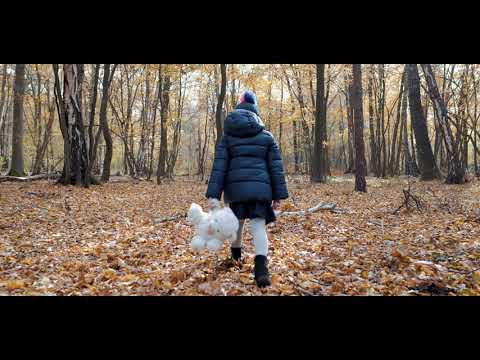 YouTube video preview image