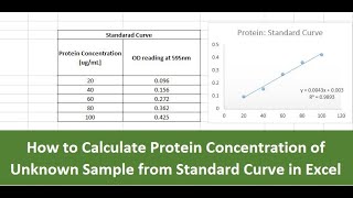 How to calculate Protein Concentration of Unknown Sample from standard curve in excel
