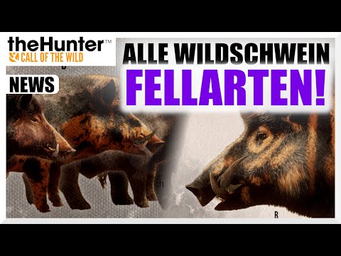 All GREAT ONE WILDBORS! Here's what you need to know about Patch 8.4 | theHunter Call of the Wild