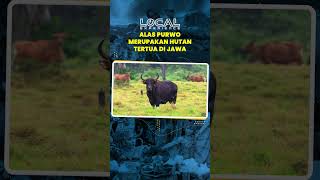 Alas Purwo, Hutan Tertua dan Obyek Wisata Komplit yang Ada di Pulau Jawa