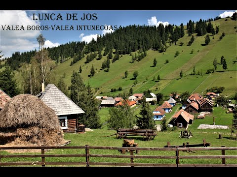 Lunca de Jos-Valea Boroș și Valea Întunecoasă(HR)🌞🦅🌲