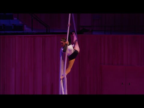 Survivor- Aerial Silks