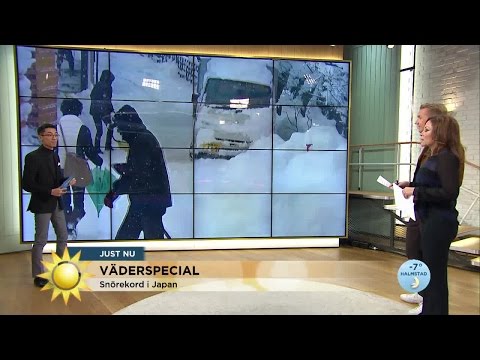 Väderspecial: Snörekord i Japan - Nyhetsmorgon (TV4)