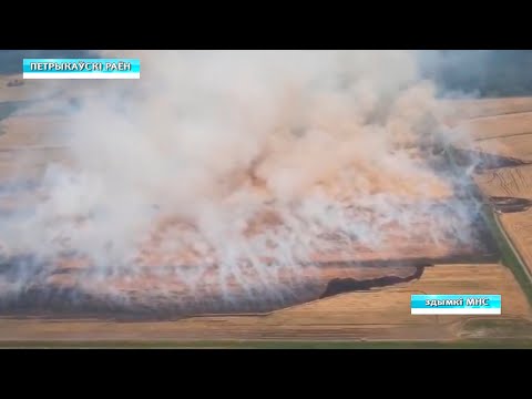 Спасатели Гомельской области продолжают тушить торфяной пожар в Петриковском районе видео