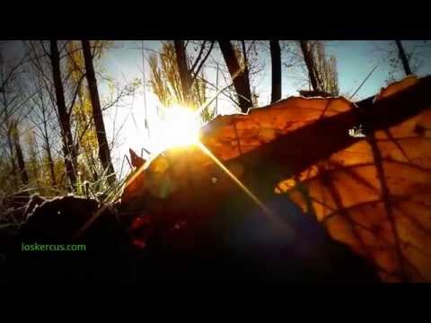 El camino de las rocas - Kercusvision - Menchen