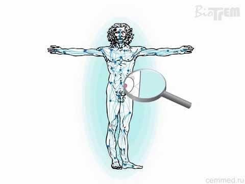 How BioTrem technology (BioTrEM CGI) affects the body's cells