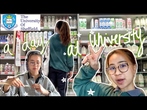 day in the life of a university of Sheffield student during pandemic | studying abroad during COVID